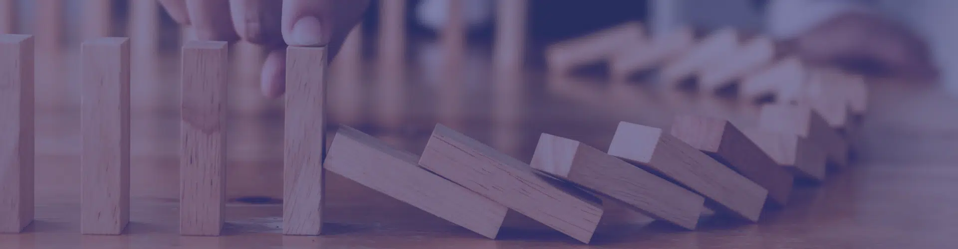 Asset Management